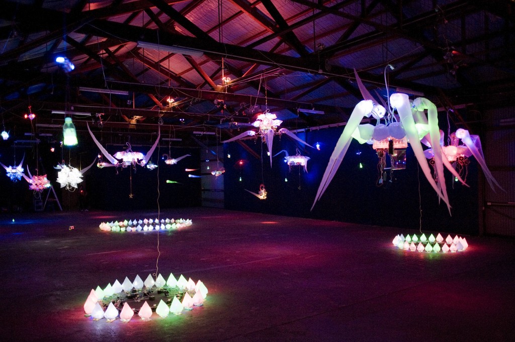 34. 黃世傑 SHIH CHIEH HUANGCubozoa