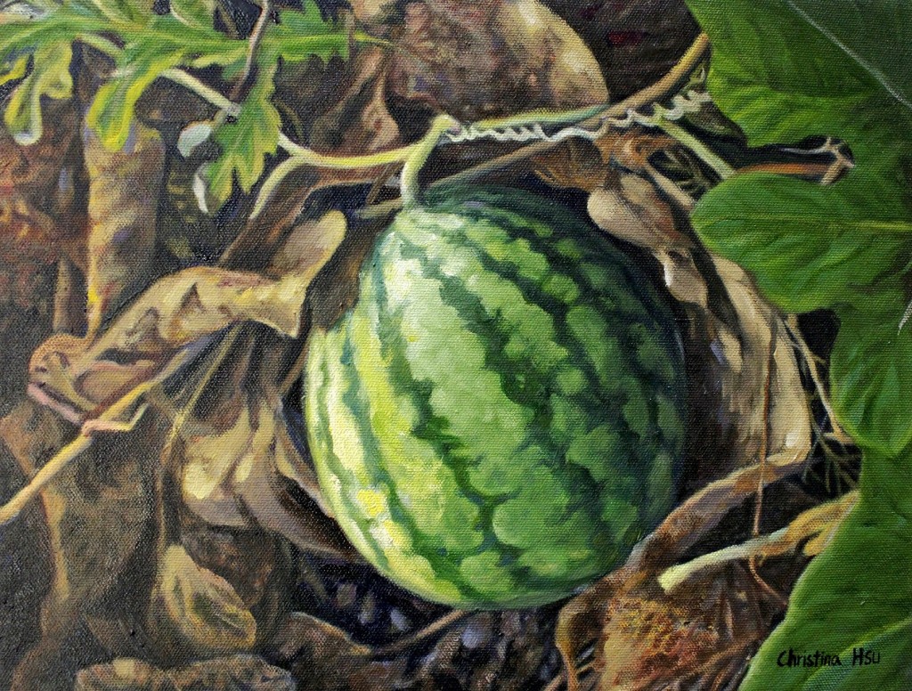 4. 台灣小玉Taiwan's Xiaoyu Watermelon 11x14 inches Oil on Canvas