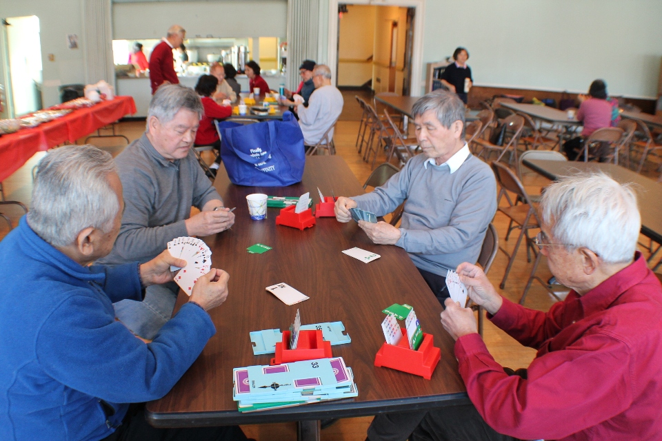 Bridge Game