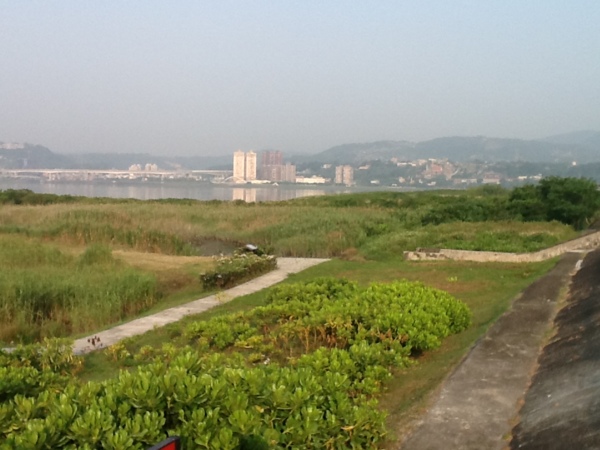 441_來自社子島的生物化學家─ 呂阿戀的故事5