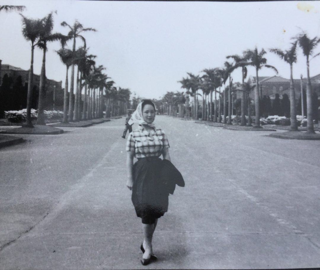 481_%e5%91%bd%e9%81%8b%e7%9a%84%e7%8e%a9%e7%ac%91-%e6%a4%b0%e6%9e%97%e5%a4%a7%e9%81%93%ef%bc%88%e5%8f%b0%e5%a4%a7%ef%bc%89